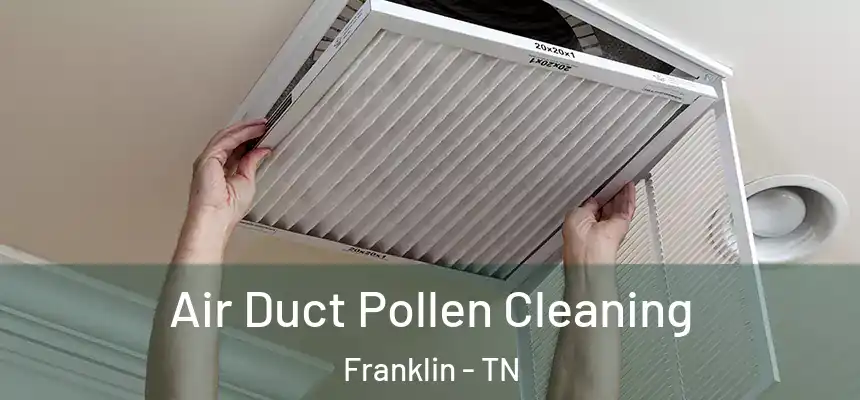  Air Duct Pollen Cleaning Franklin - TN