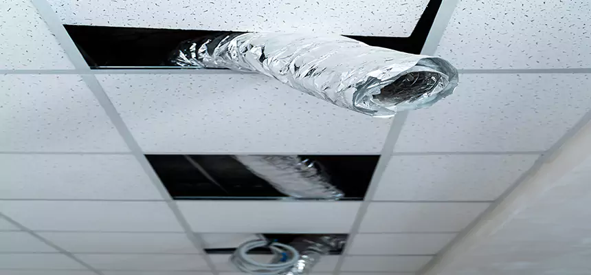 Affordable HVAC Sanitizing After Pest Removal in Franklin