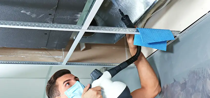 Our Air Duct Rodent Removal Services in Franklin, TN