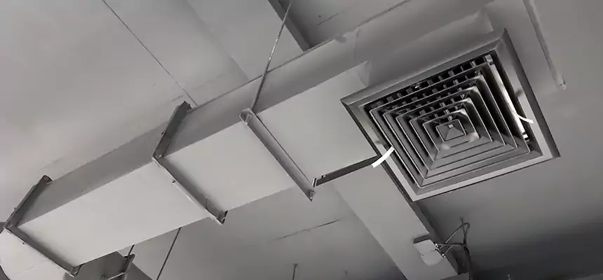 Our Pest Removal From Ducts Services in Franklin, TN