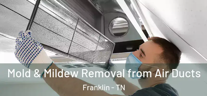  Mold & Mildew Removal from Air Ducts Franklin - TN