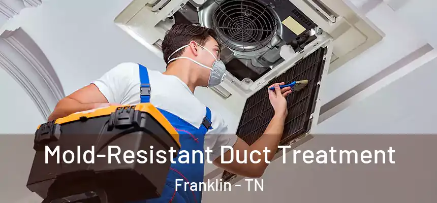  Mold-Resistant Duct Treatment Franklin - TN
