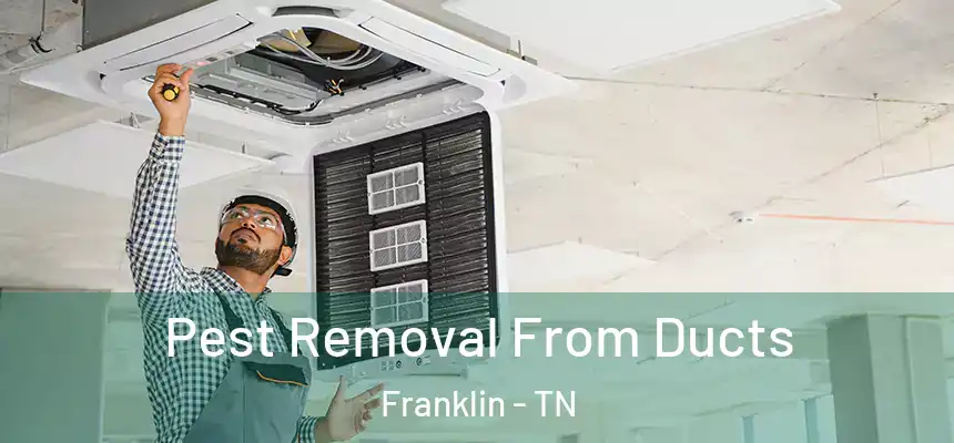  Pest Removal From Ducts Franklin - TN