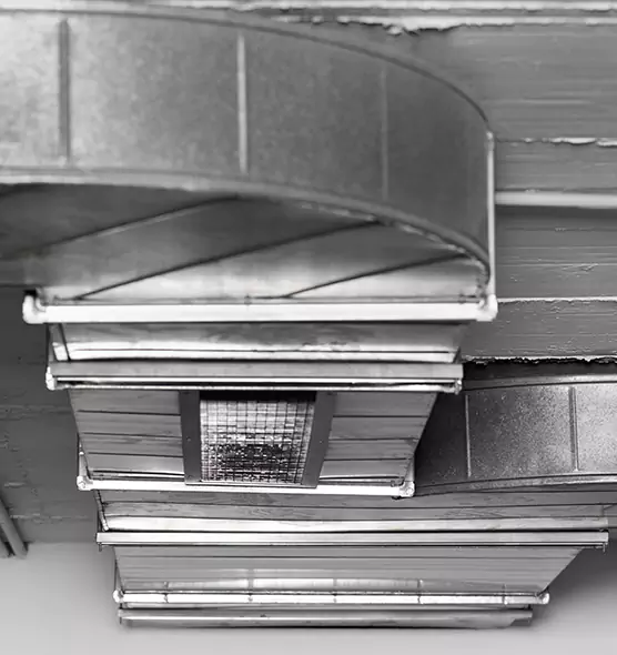 Professional Air Duct Pest Removal in Franklin, TN