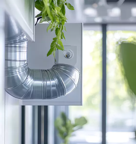 Professional Eco-Safe Dryer Vent Cleaning in Franklin, TN