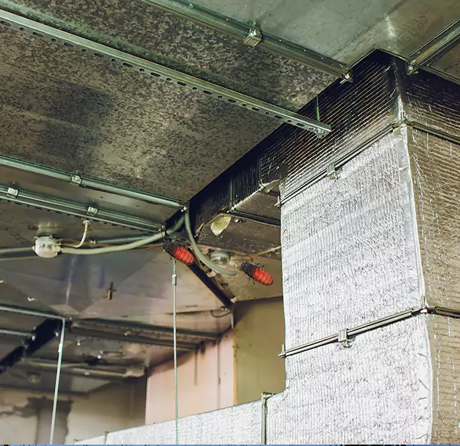 Why Homeowners & Businesses Trust Us in Franklin, TN?