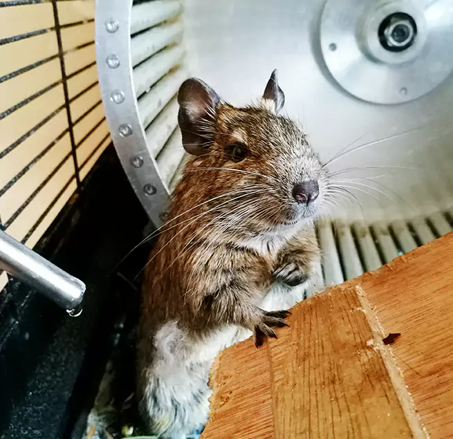 Why Homeowners & Businesses Trust Us Franklin, TN?